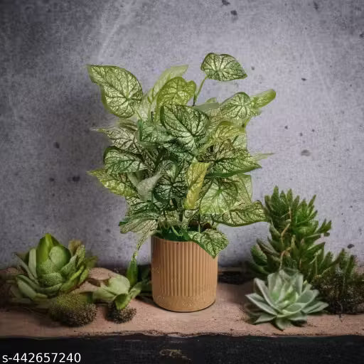 Artificial Plant