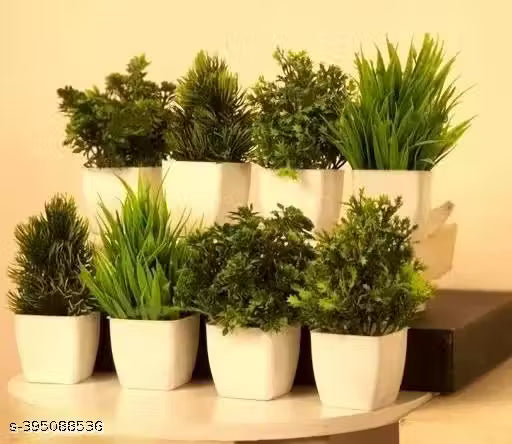 Easy shop green Grass decorative plans pack of 8 , size ( 15 cm )