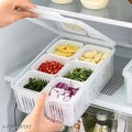 6 Grid Fridge Storage box with Lid and 6 Drain Compartment, Freezer Storage Box